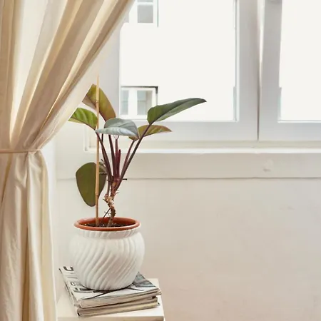 Dona Conceição Appartement